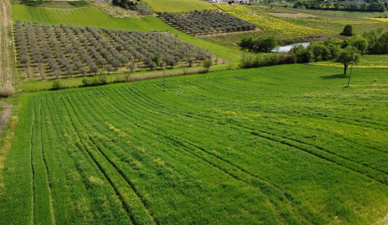 DJI_0004