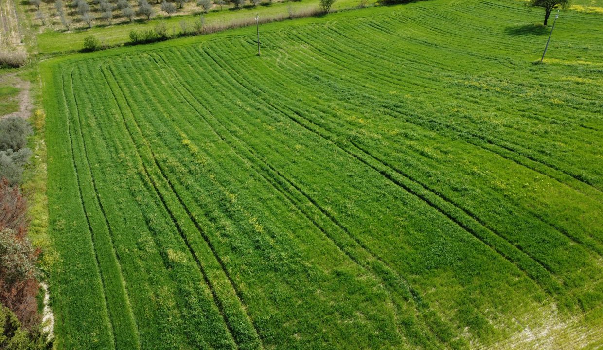 DJI_0005
