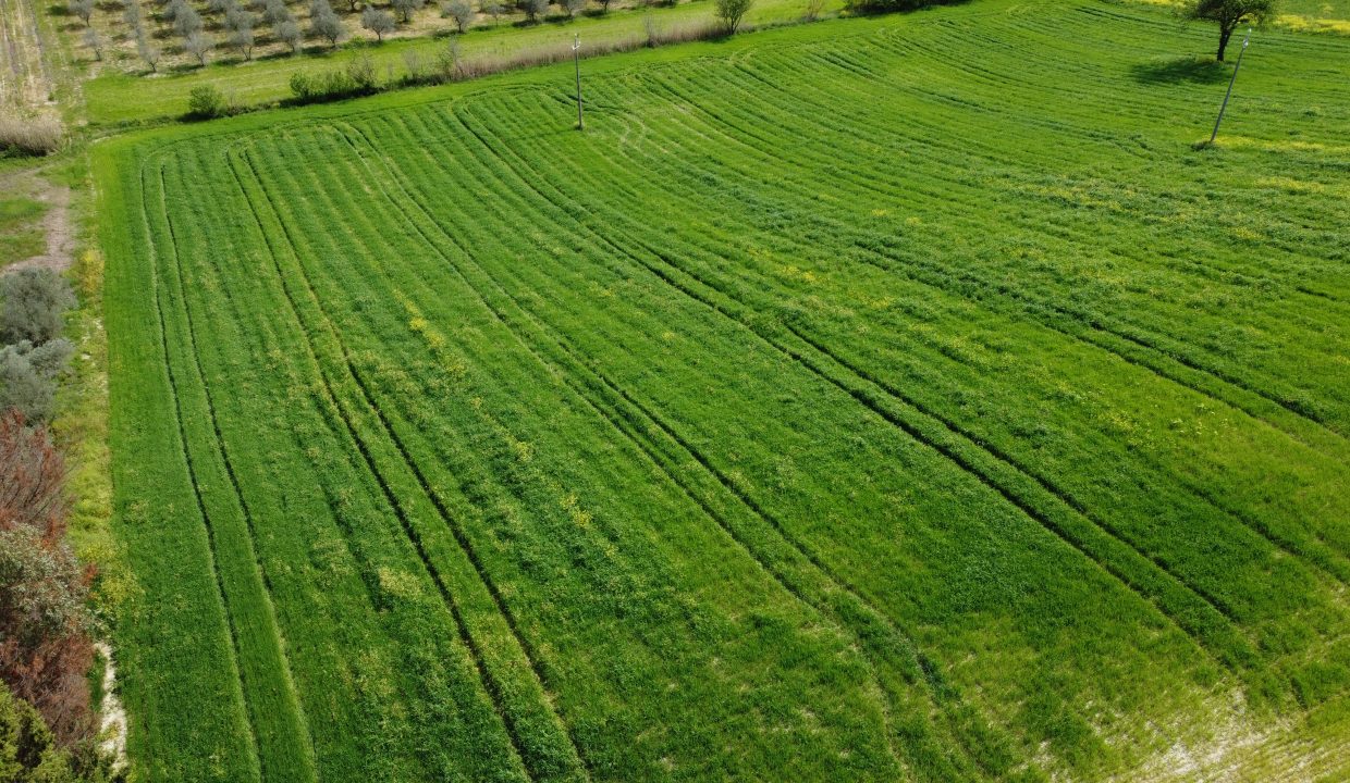 DJI_0006