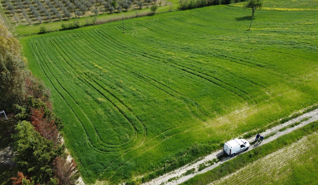 DJI_0010