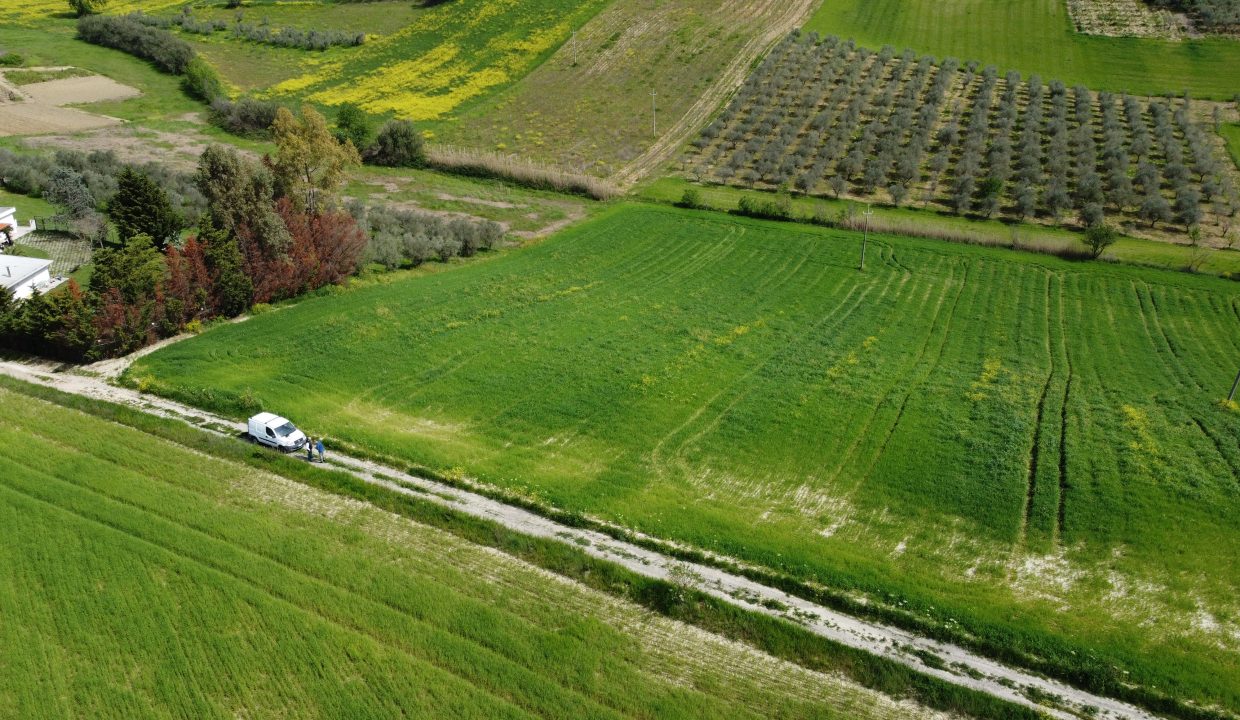 DJI_0020