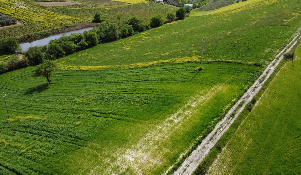 DJI_0021