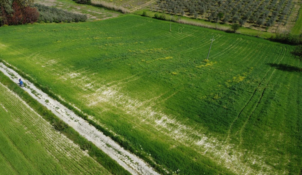 DJI_0023