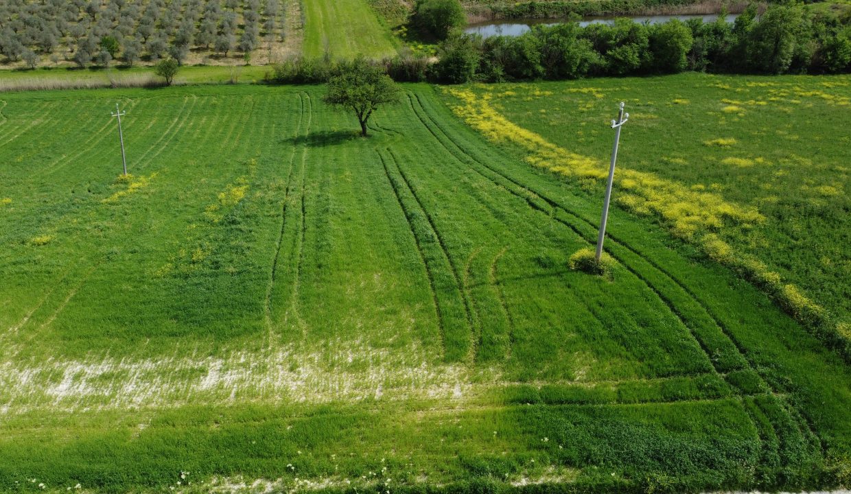DJI_0024