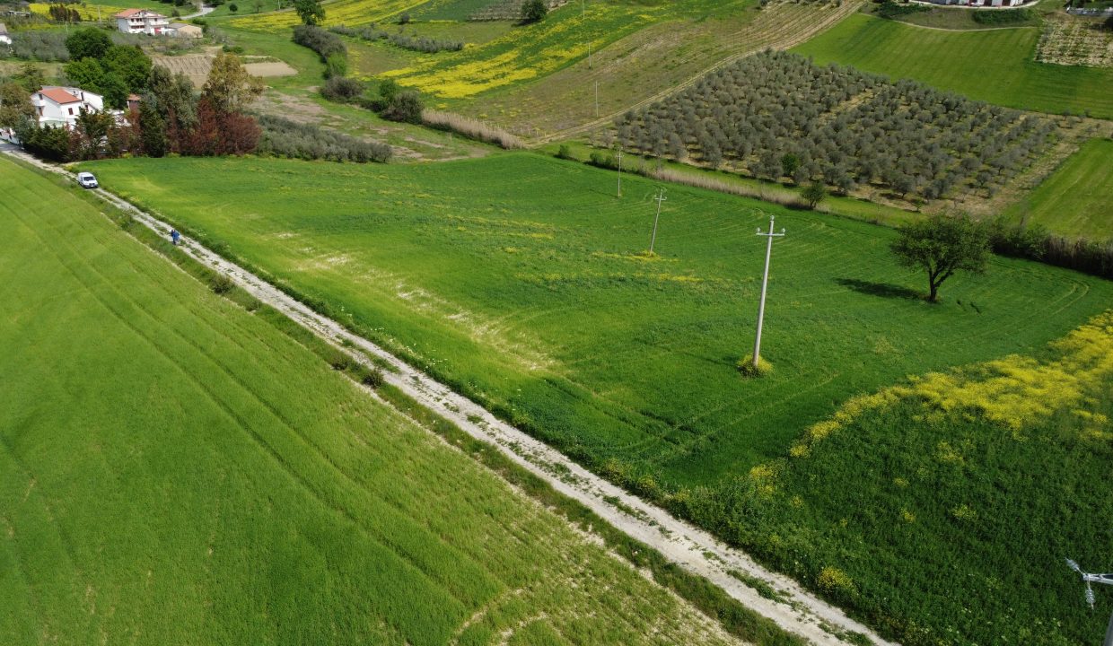DJI_0029