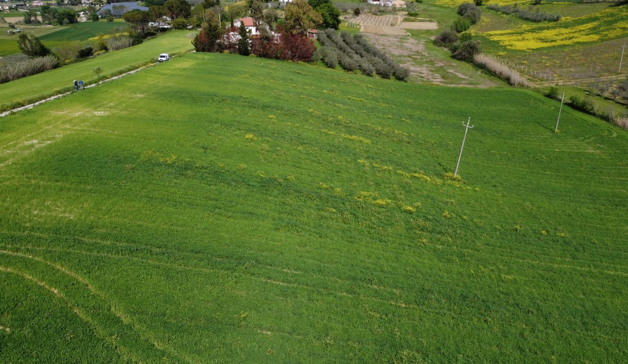 DJI_0031