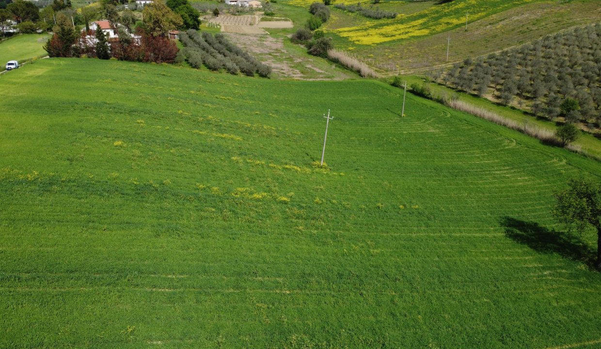 DJI_0032