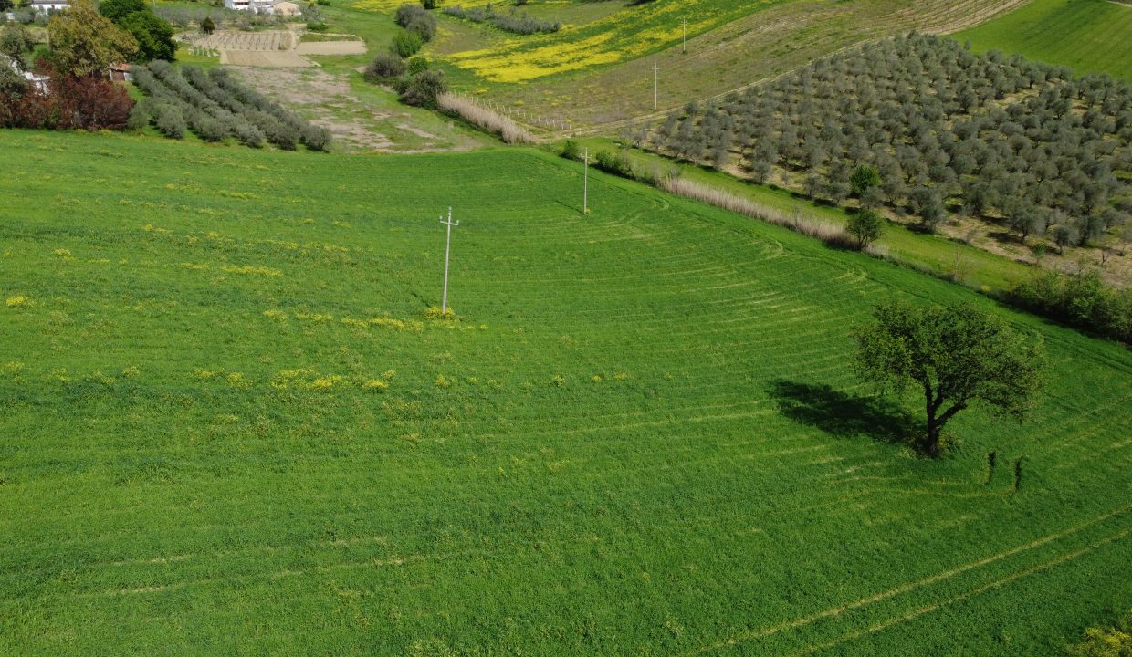 DJI_0033