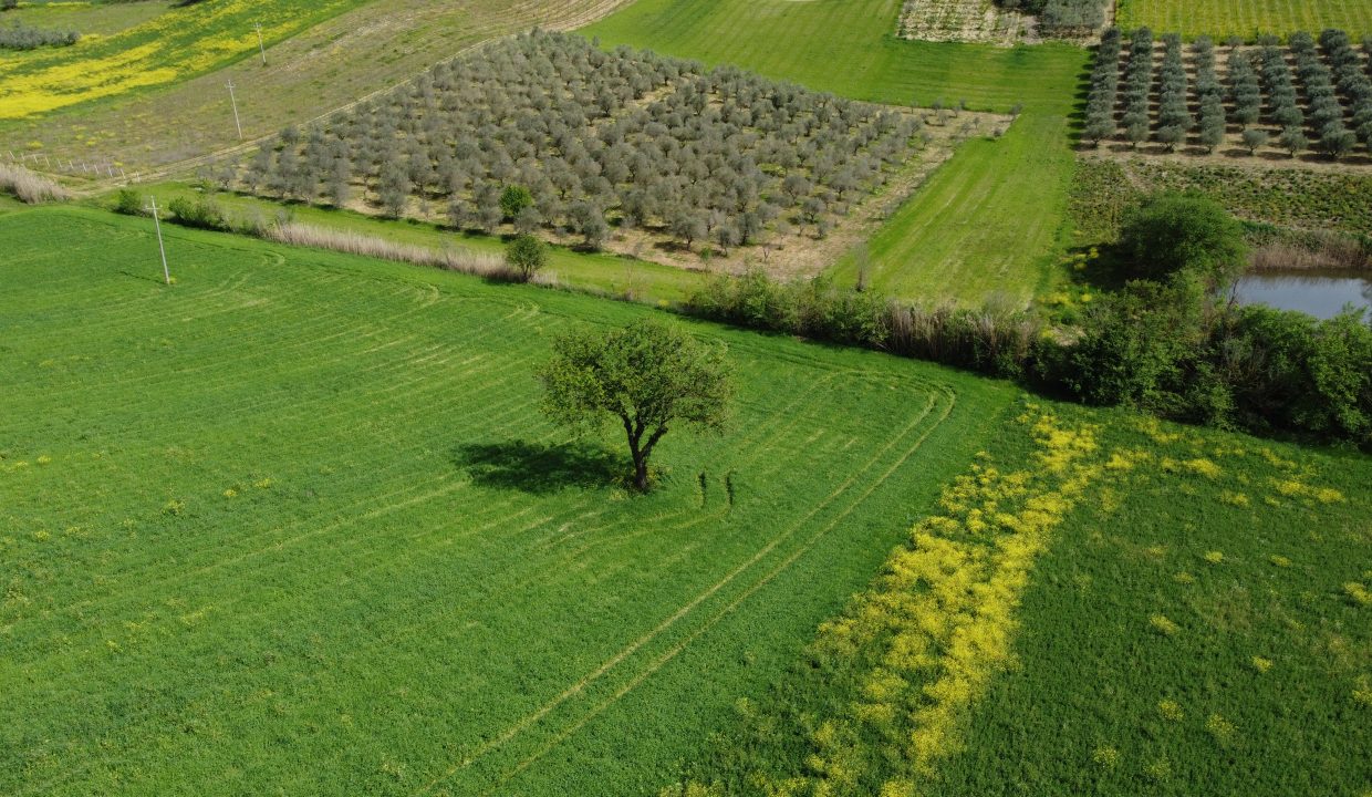 DJI_0034