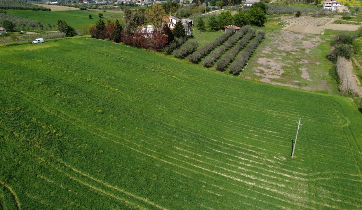 DJI_0037