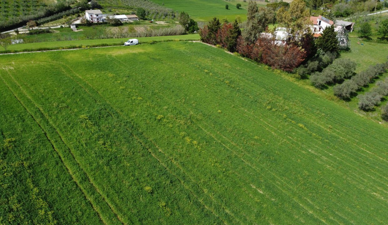 DJI_0038