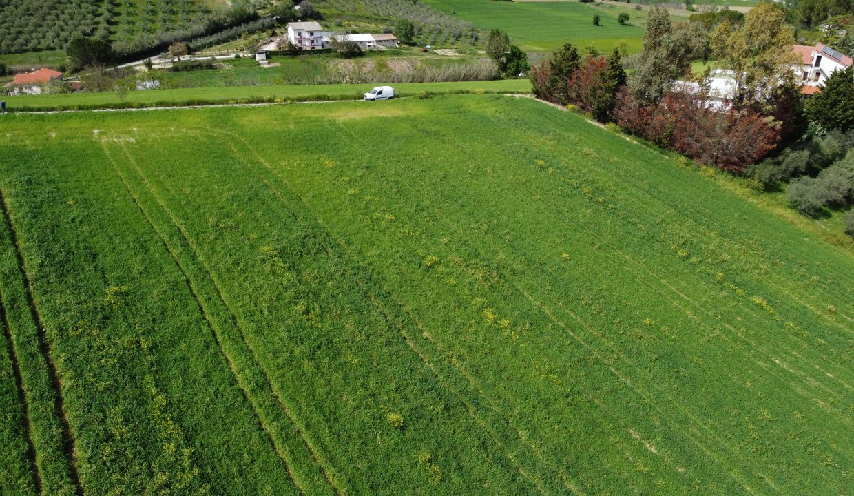 DJI_0041