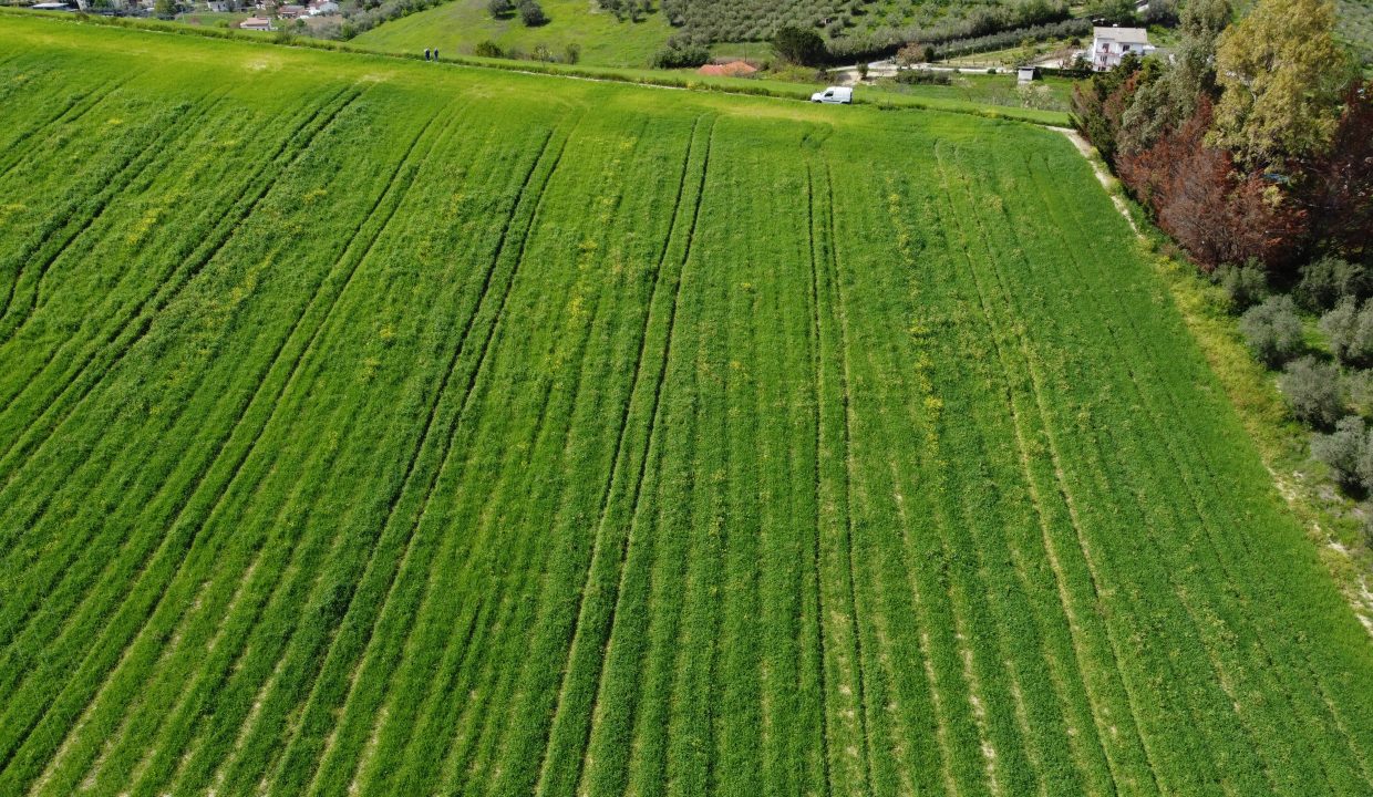 DJI_0043