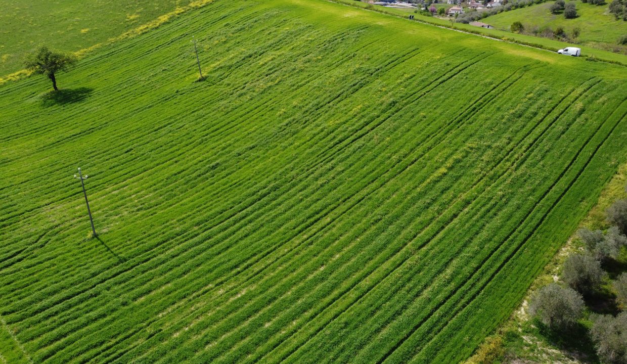 DJI_0045