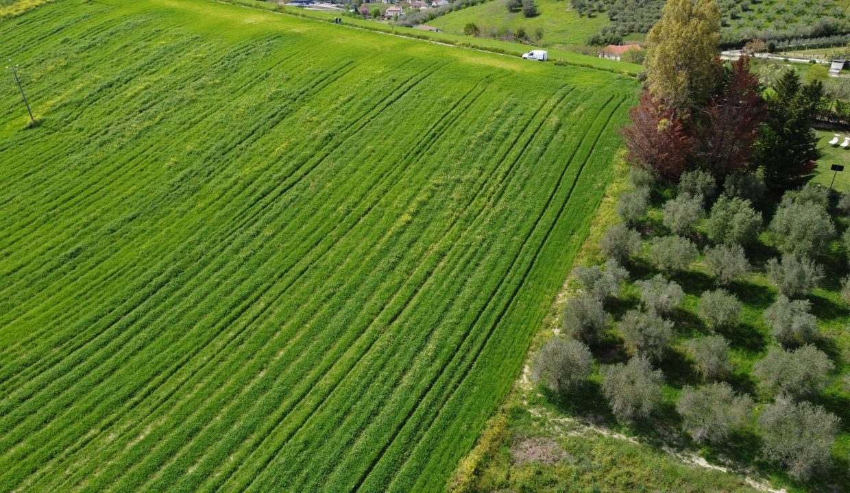 DJI_0046