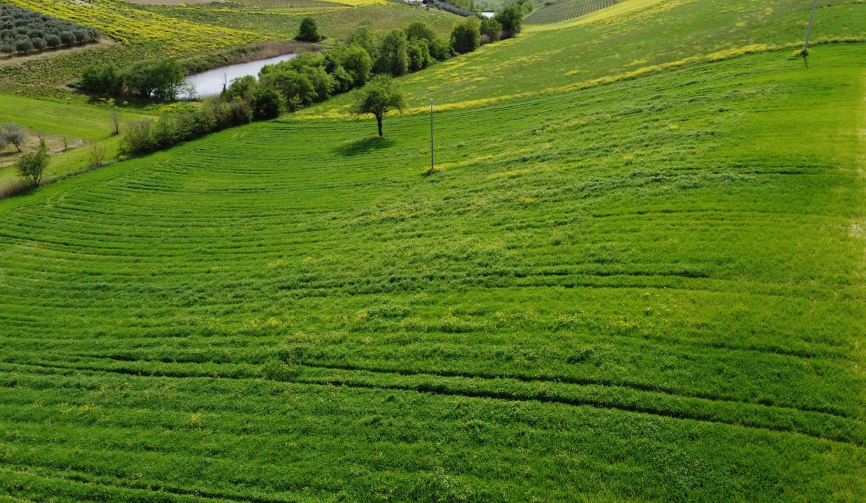 DJI_0050