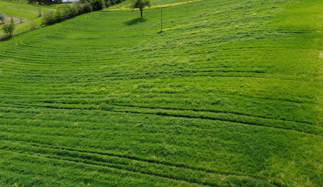 DJI_0051